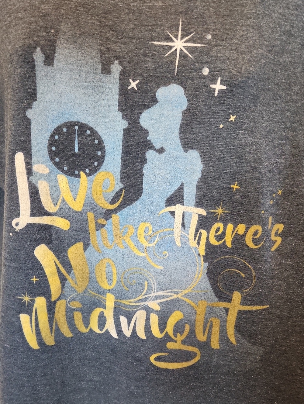 Tultex Gray Tee with Blue Cinderella Silhouette and Gold Script